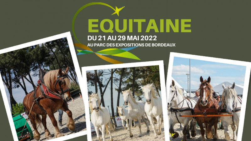 Salon de l'Agriculture Nouvelle Aquitaine 2022 : c'est parti !